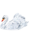 купить часы GRACEFUL SWAN 
