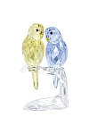 купить часы BUDGIES 
