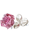 купить часы BLOSSOMING ROSE,LIGHT PINK 