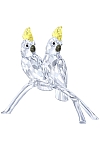 купить часы COCKATOOS 