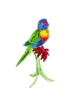 купить часы RAINBOW LORIKEET 