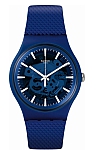 купить часы SVIN103-5300 Swatch 