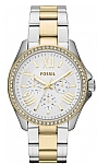 купить часы Fossil AM4543 