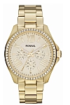 купить часы Fossil AM4482 