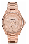 купить часы Fossil AM4483 