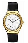 купить часы Swatch YWG404 