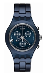 купить часы Swatch SVCN4004AG 