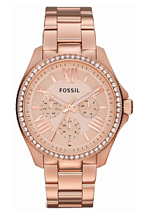 fossil AM4483