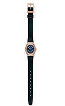 купить часы Swatch YSG152 