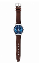 купить часы Swatch YVS466 