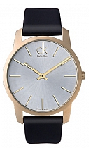 купить часы Calvin Klein K2G21520 