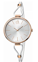 купить часы Calvin Klein K3V236L6 