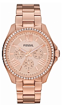 купить часы Fossil AM4483 