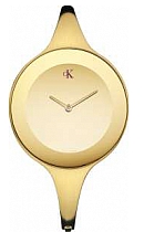 купить часы Calvin Klein K2813209 