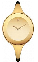 купить часы Calvin Klein K2814209 